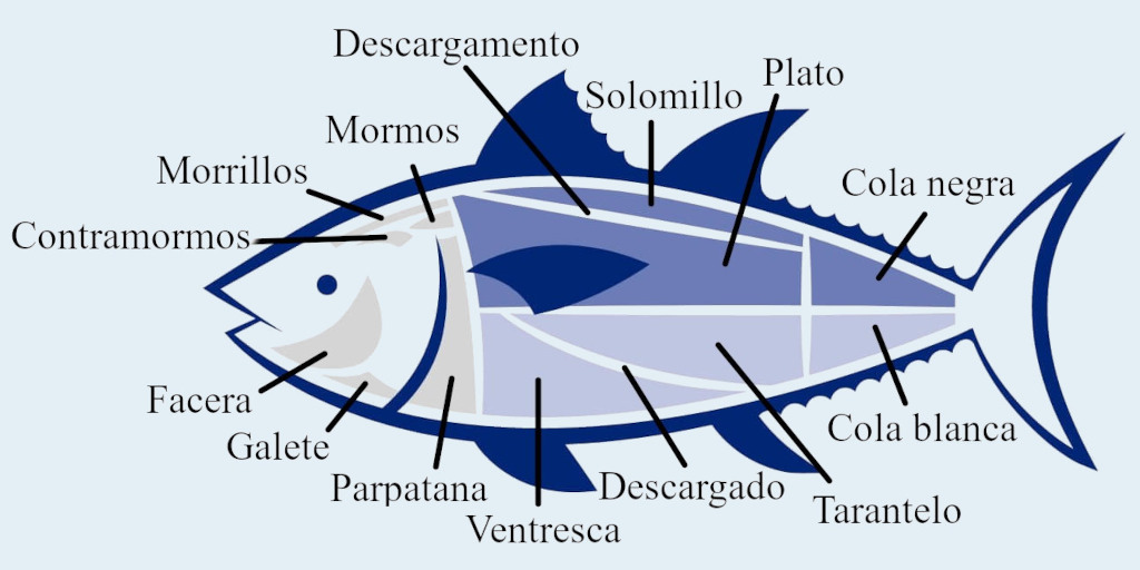 Partes del atún rojo para sus diferentes elaboraciones