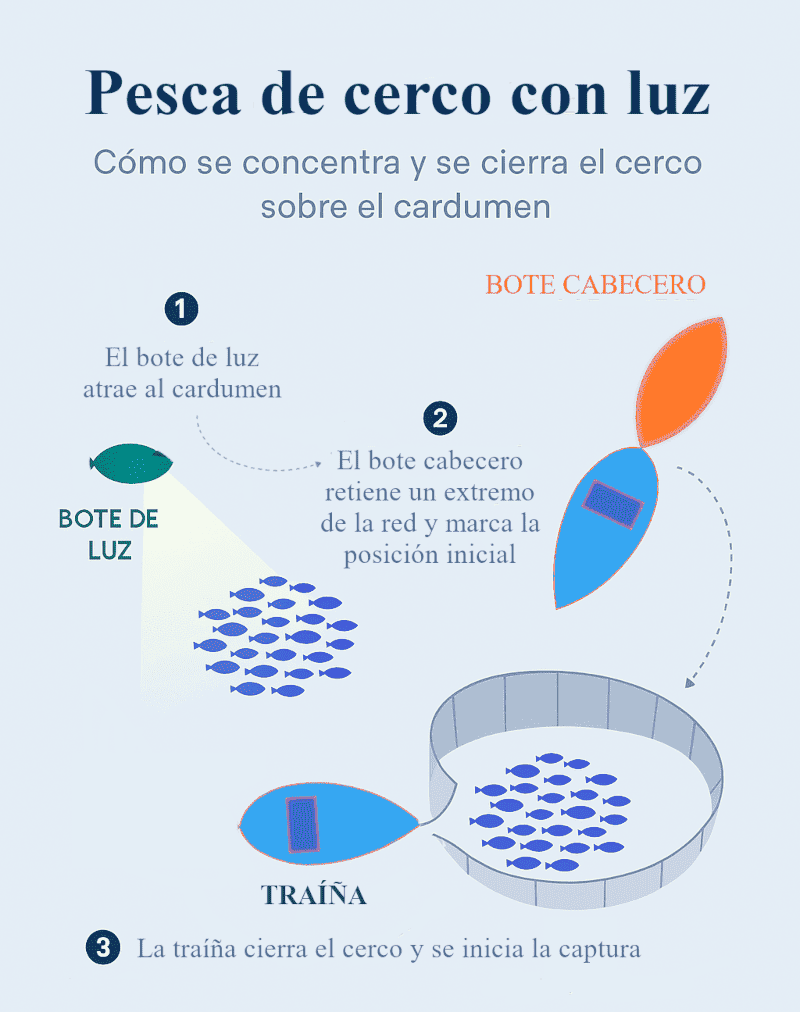 Infografía explicativa de la maniobra de cerco